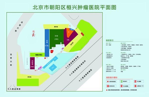 美女尻逼5g影视北京市朝阳区桓兴肿瘤医院平面图